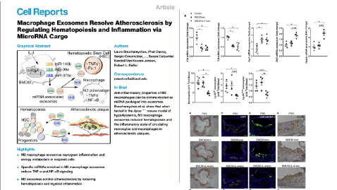 raffailab-research-tab4-1