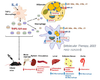 raffailab-research-tab4-2